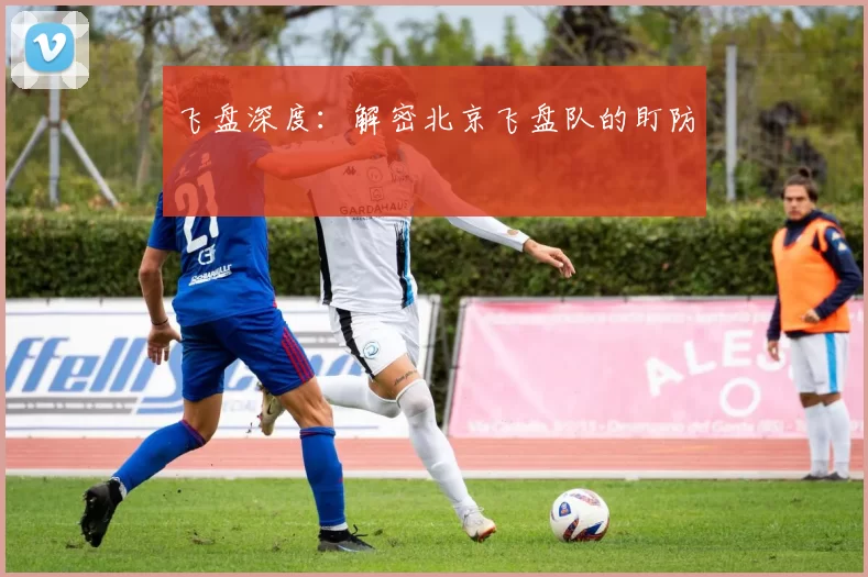 飞盘深度：解密北京飞盘队的盯防