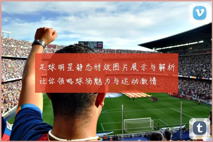 足球明星静态特效图片展示与解析让你领略球场魅力与运动激情