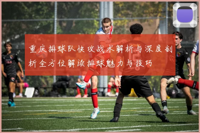 重庆排球队快攻战术解析与深度剖析全方位解读排球魅力与技巧