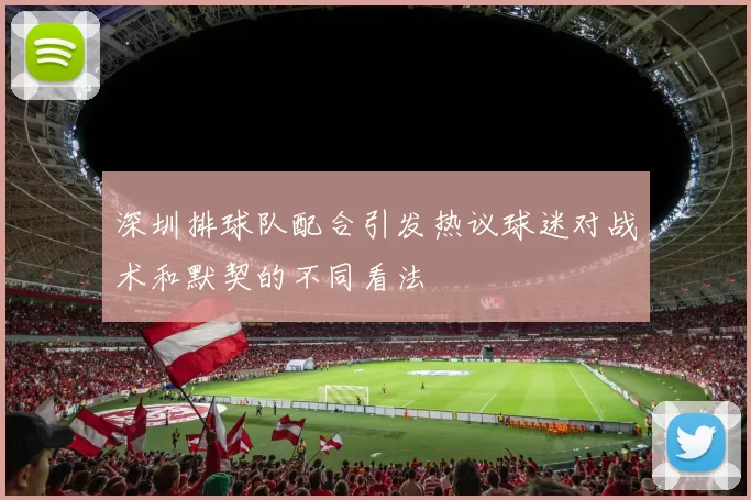 深圳排球队配合引发热议球迷对战术和默契的不同看法