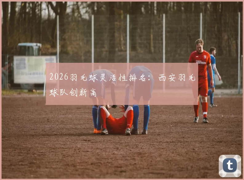 2026羽毛球灵活性排名：西安羽毛球队创新高