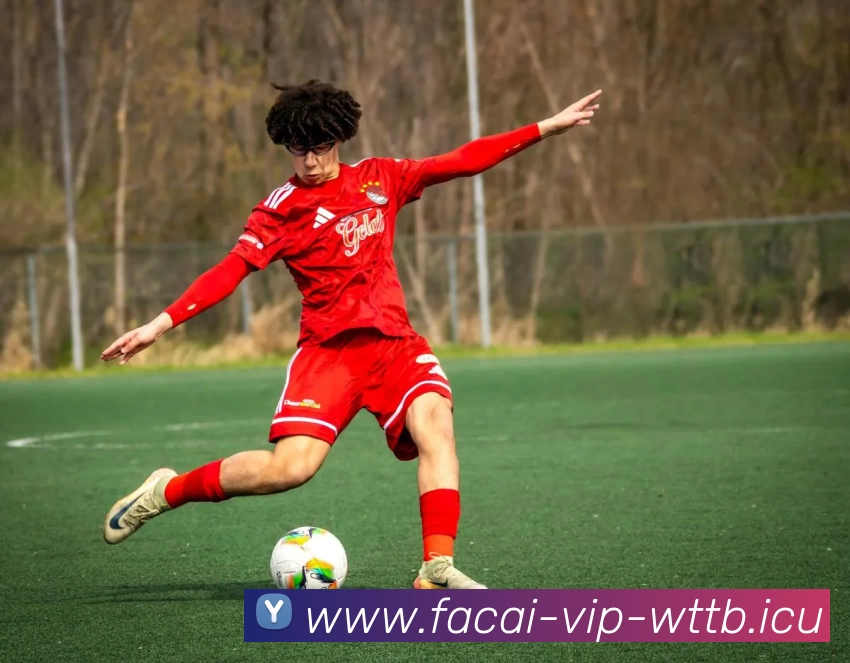 乐鱼体育注册平台生态图