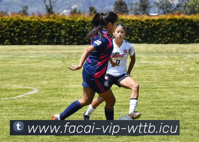 乐鱼体育注册APP 封面图